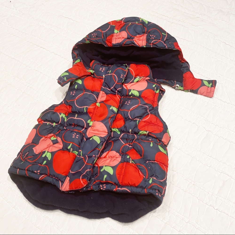 Apple Vest with Removable Hood